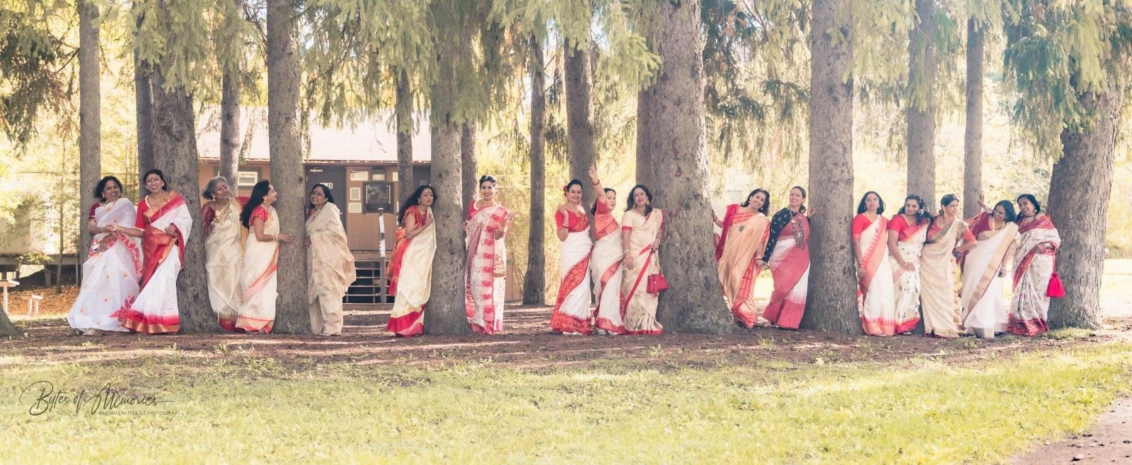 Handloom sarees